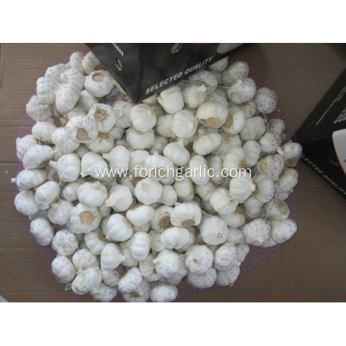 Fresh Pure White Garlic Crop 2020